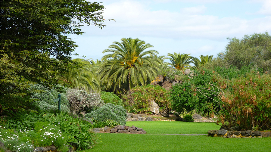 Jardín Botánico Canario Viera y Clavijo - Las Palmas